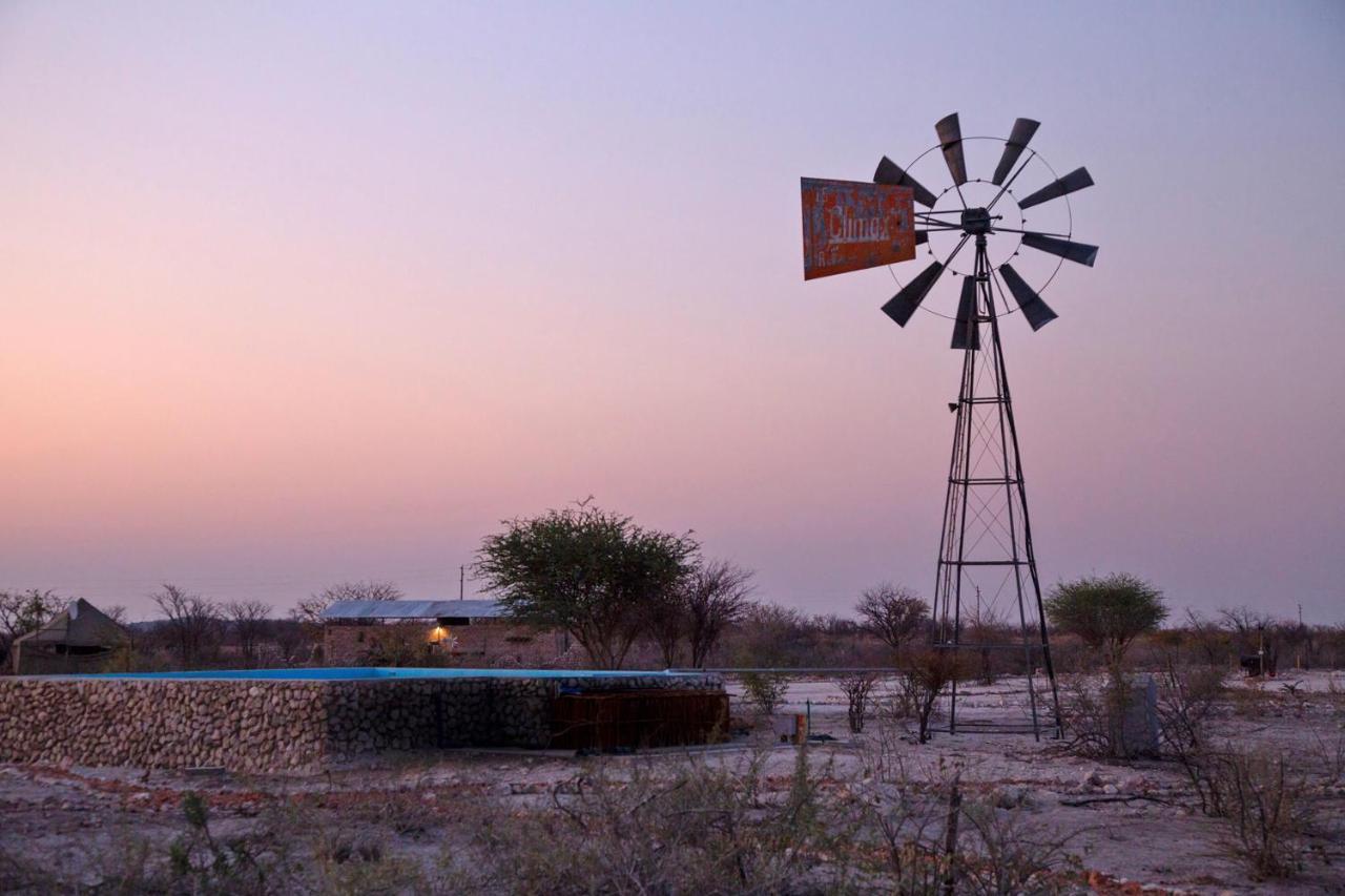 Etosha Trading Post Campsite Okaukuejo Eksteriør bilde